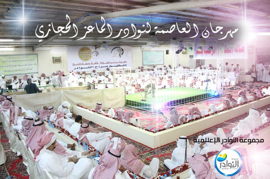 مهرجان العاصمة لنوادر الماعز الحجازي يوم الخميس والجمعة 1-2 /1 / 1439 هجري